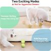seagi Interactive Dog Toys â€“ Durable Automatic Bouncing & Vibrating Interactive Dog Ball for Smart Play